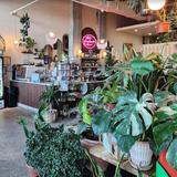 The Greenhouse Bar