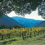 Wine Tasting in Carmel Valley