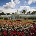 Glasgow Botanic Gardens