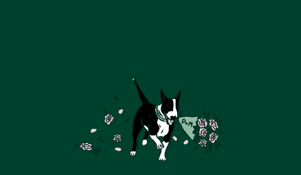 Footer image