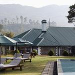 Tea Trails
