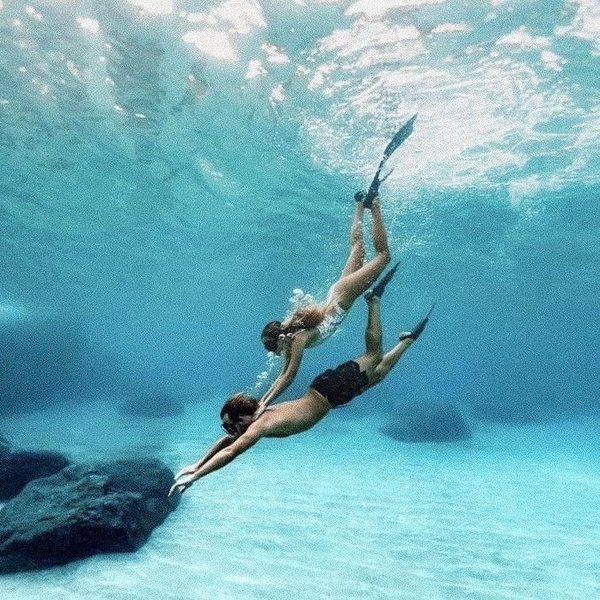 Snorkeling Excursion— Honeymoon
