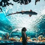 Ripley's Aquarium of Canada