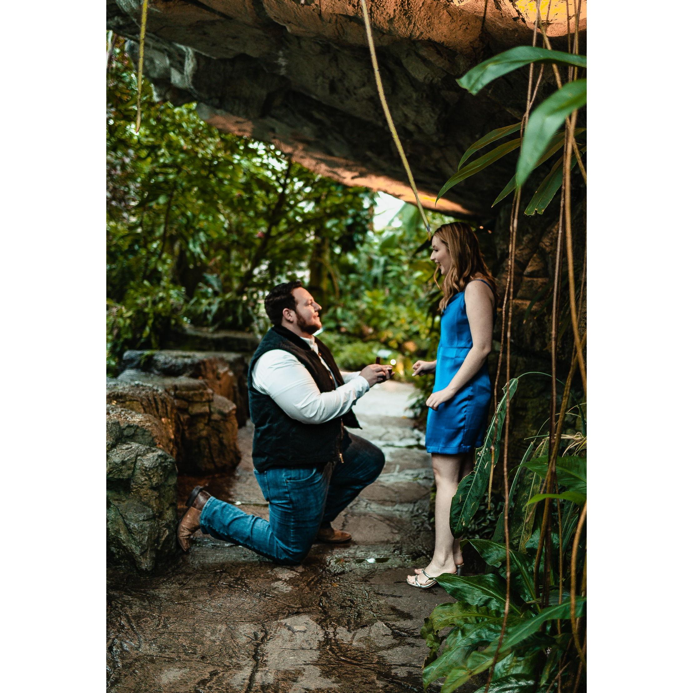 Tyler proposed! 3.24.2023