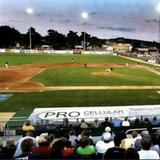 Loggers Baseball
