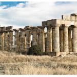 Selinunte Archaeological Park/Templi di Selinunte