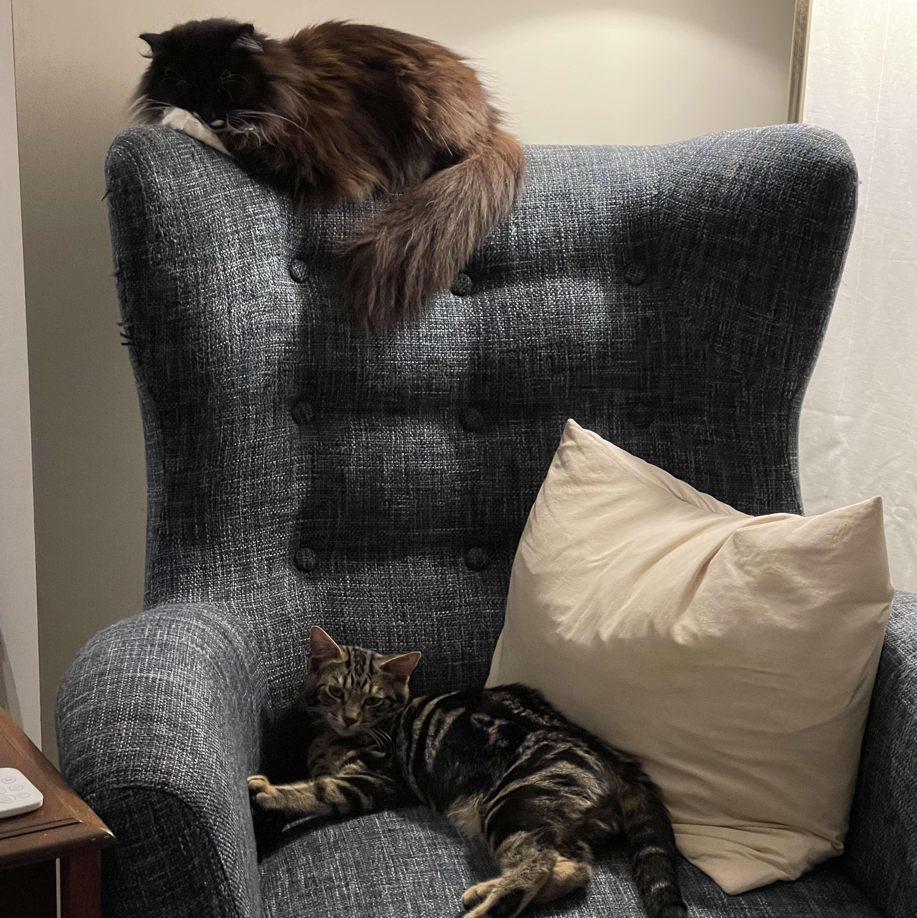 Photos of the two of them together are rare. This was shortly after we moved to Hamilton for the year for Vic to do her Master's at Mac.