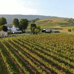 Veritas Vineyards and Winery