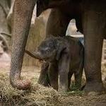 Columbus Zoo and Aquarium