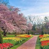 Longwood Gardens