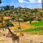San Diego Zoo Safari Park