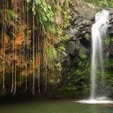 Annandale Waterfall & Forest Park