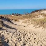 Warren Dunes State Park