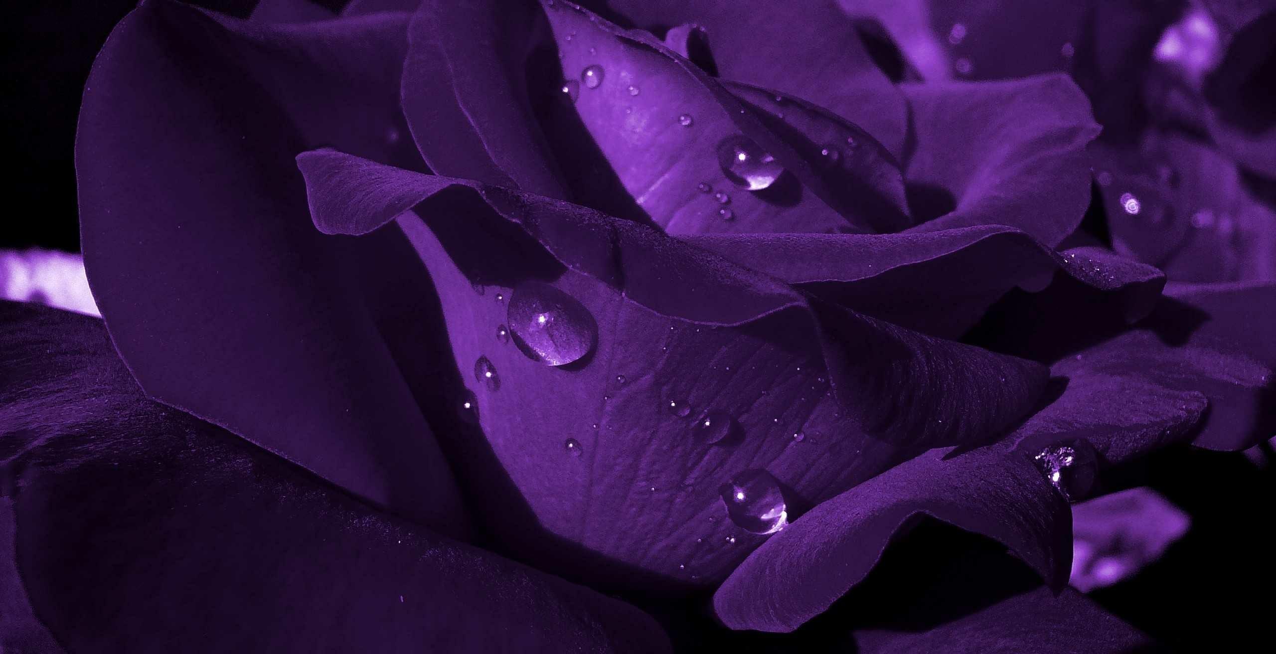 7496c041-dda1-4e8f-8071-96658b97058e