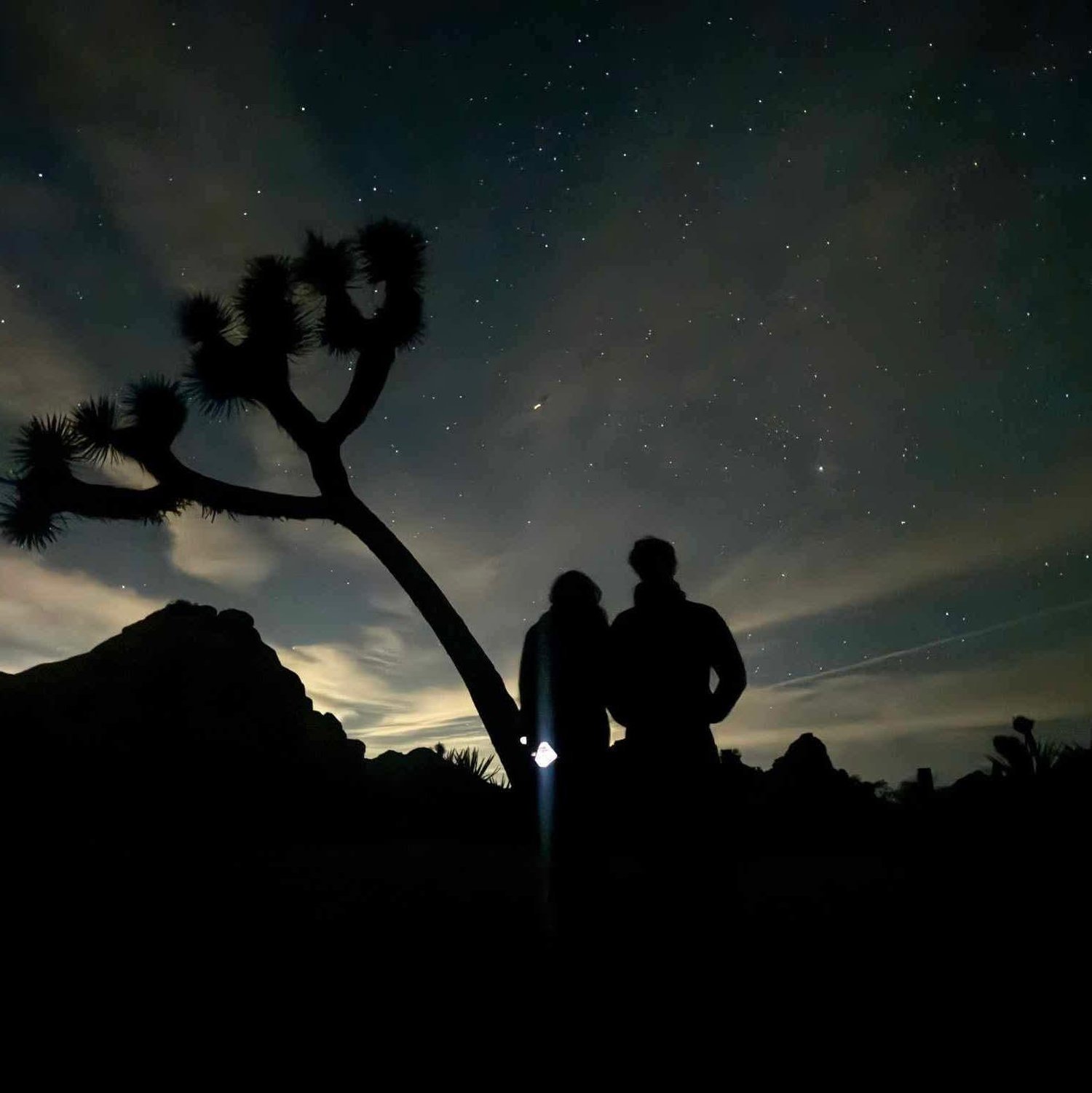 A late night Joshua Tree adventure!