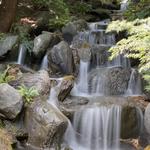 VanDusen Botanical Garden