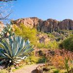 Boyce Thompson Arboretum