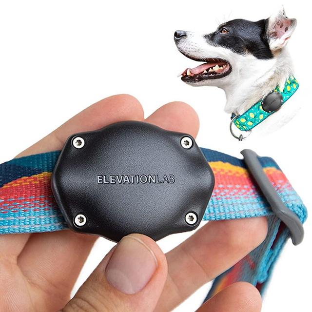 TagVault Pet: The Original AirTag Waterproof Dog Collar Mount, Ultra-Durable, Fits All Width Collars (2-Pack)