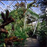 Cleveland Botanical Garden