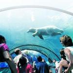 Detroit Zoo