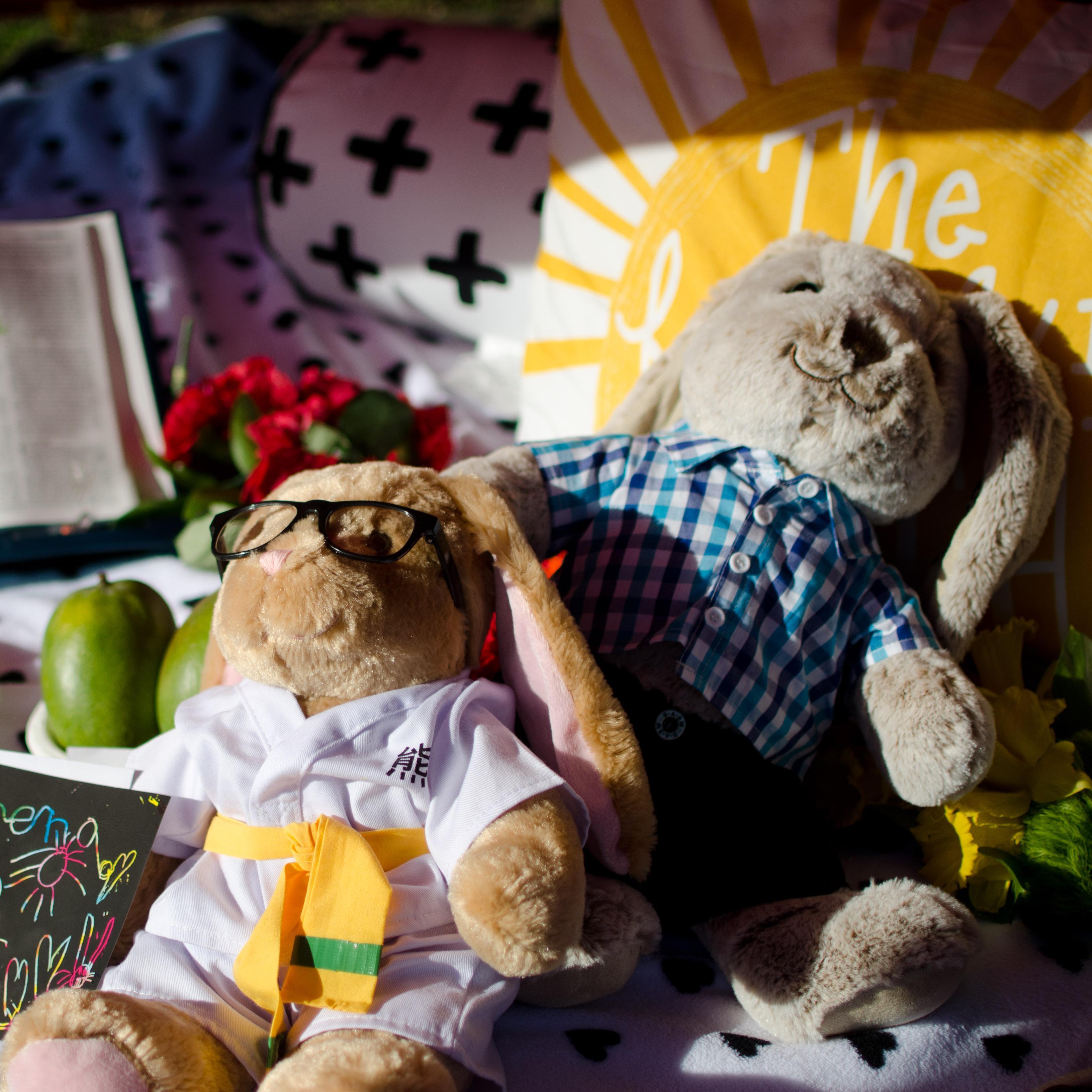 Ms. Hopps & Mr. Hopps