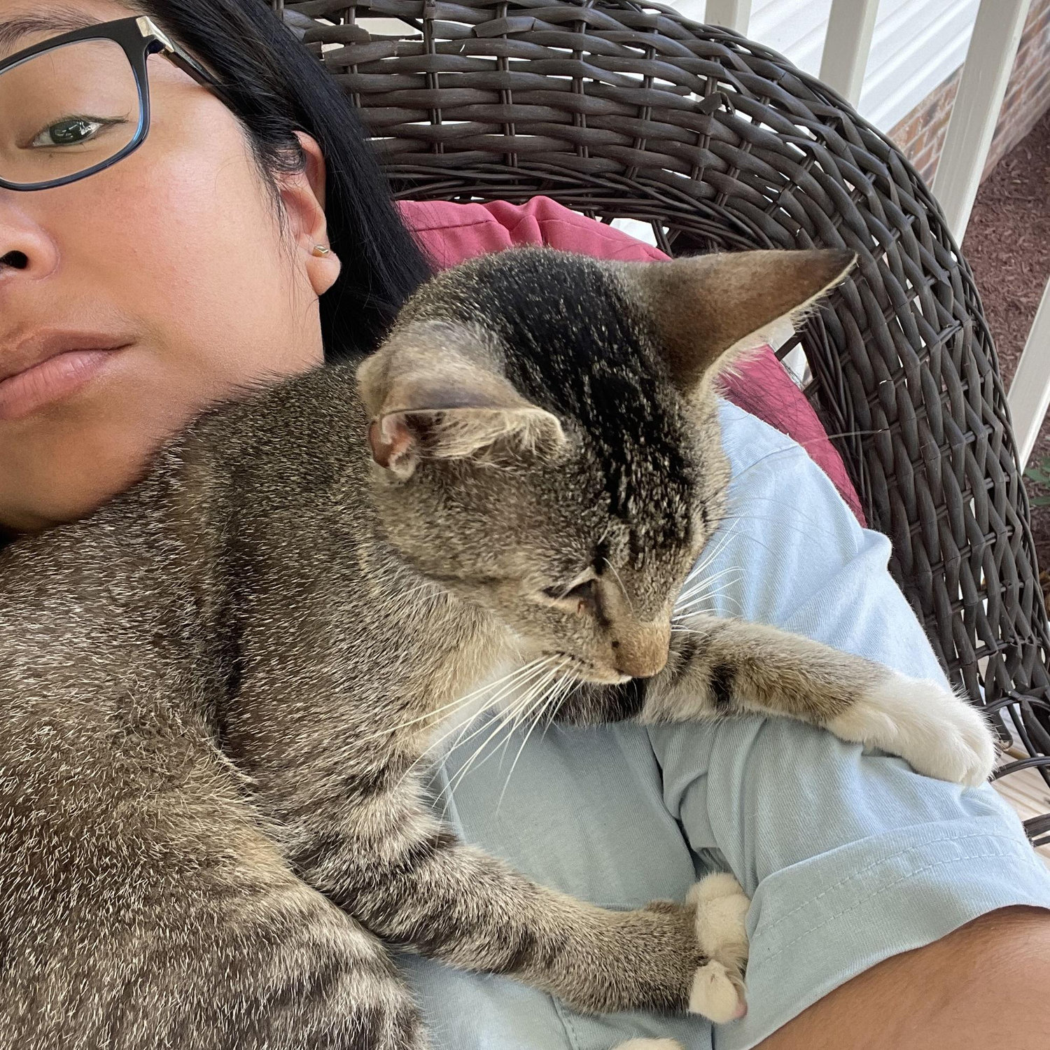 Stanlee cuddling me when he first came here.