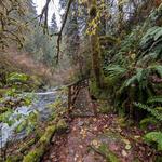 Some of Our Favorite Hikes!