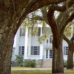 McLeod Plantation