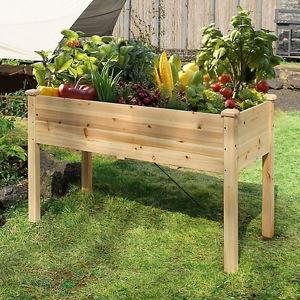 Veikous Cedar Raised Garden Bed Elevated Planter Box with Drainage Holes, 47 in. x 23 in. x 30 in. at Tractor Supply Co