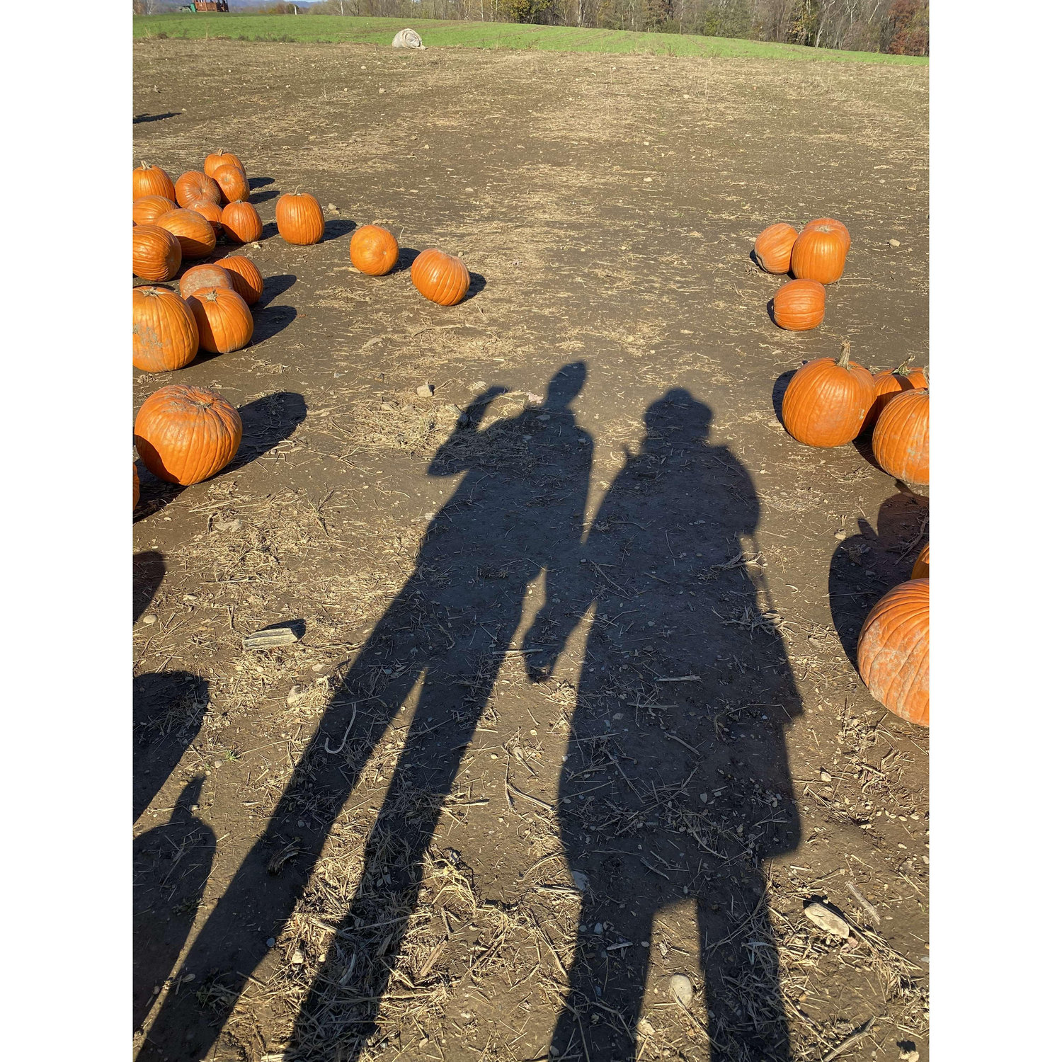 Fall. 