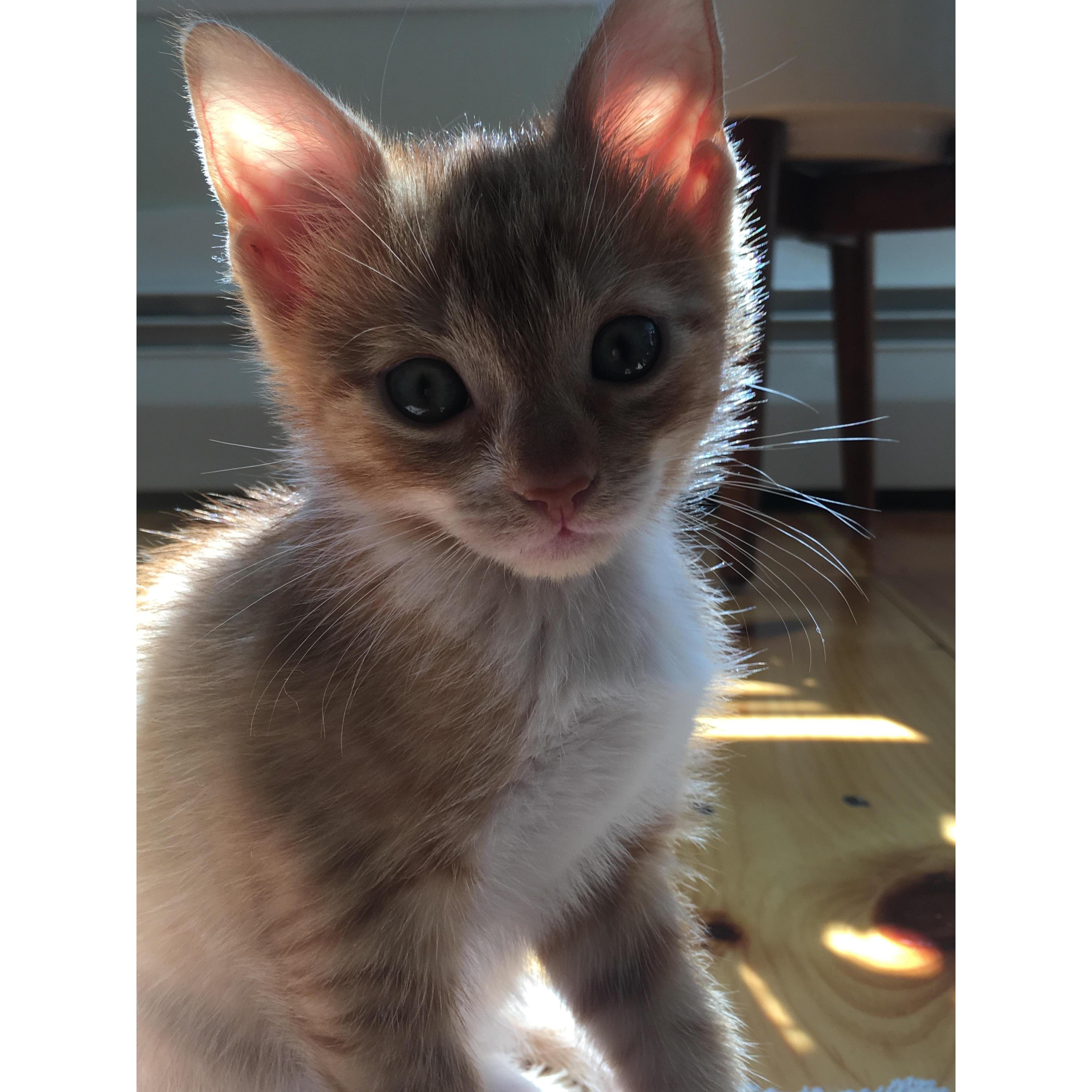 What a cutie!
