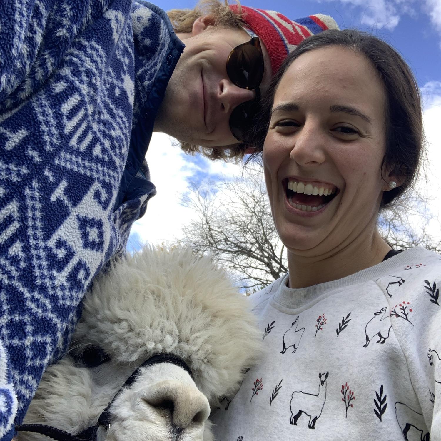 Alpaca Yoga