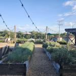 Finley Farms