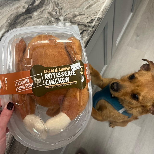 Year's Supply Of Dog Treats