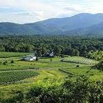Veritas Vineyards and Winery