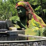 Atlanta Botanical Garden