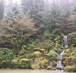 Portland Japanese Garden