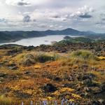 Table Top Mountain