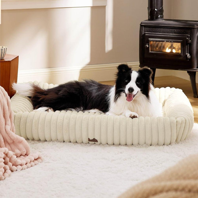 Bedsure Cute Dog Bed for Extra Large Dogs - Washable Furry XL Pet Beds, Rectangle Orthopedic Corduroy Fleece Pet Beds with Removable Zipper Cover, 43x30x8inches, Cream
