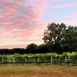 Harvest Ridge Winery