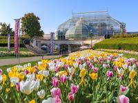 Phipps Conservatory and Botanical Gardens