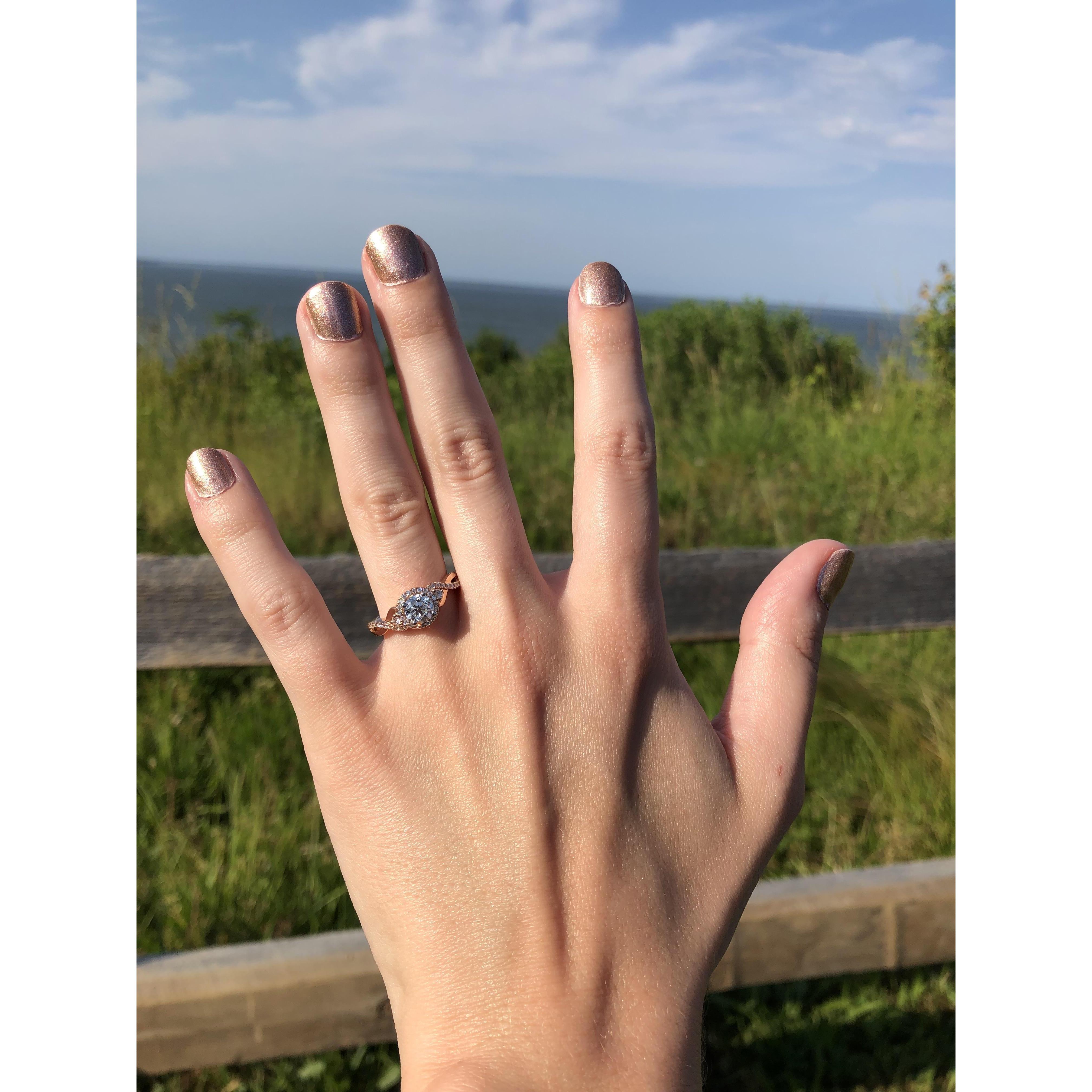 They took this picture and Sarah still couldn't believe this was reality!
