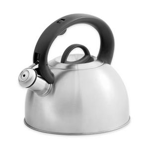 SALT™ Amelia 2.1-Quart Stainless Steel Tea Kettle