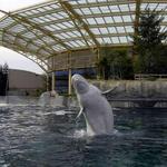 Mystic Aquarium