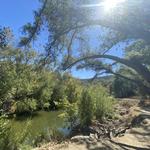 Santa Margarita River Trail Preserve