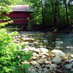 Swimming in the local Stowe swimming holes!