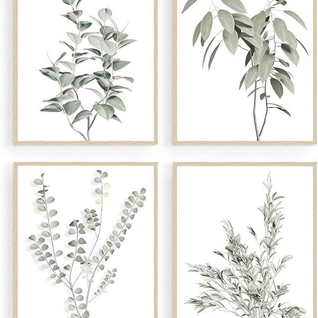 Botanical Plant Wall Art Prints, Minimalist Wall Art, Boho Wall Decor, Green Leaves Eucalyptus Pictures Poster, Plant Wall Decor, Bathroom Wall Decor, Kitchen Wall Decor (Set of 4, 8X10in, Unframed)