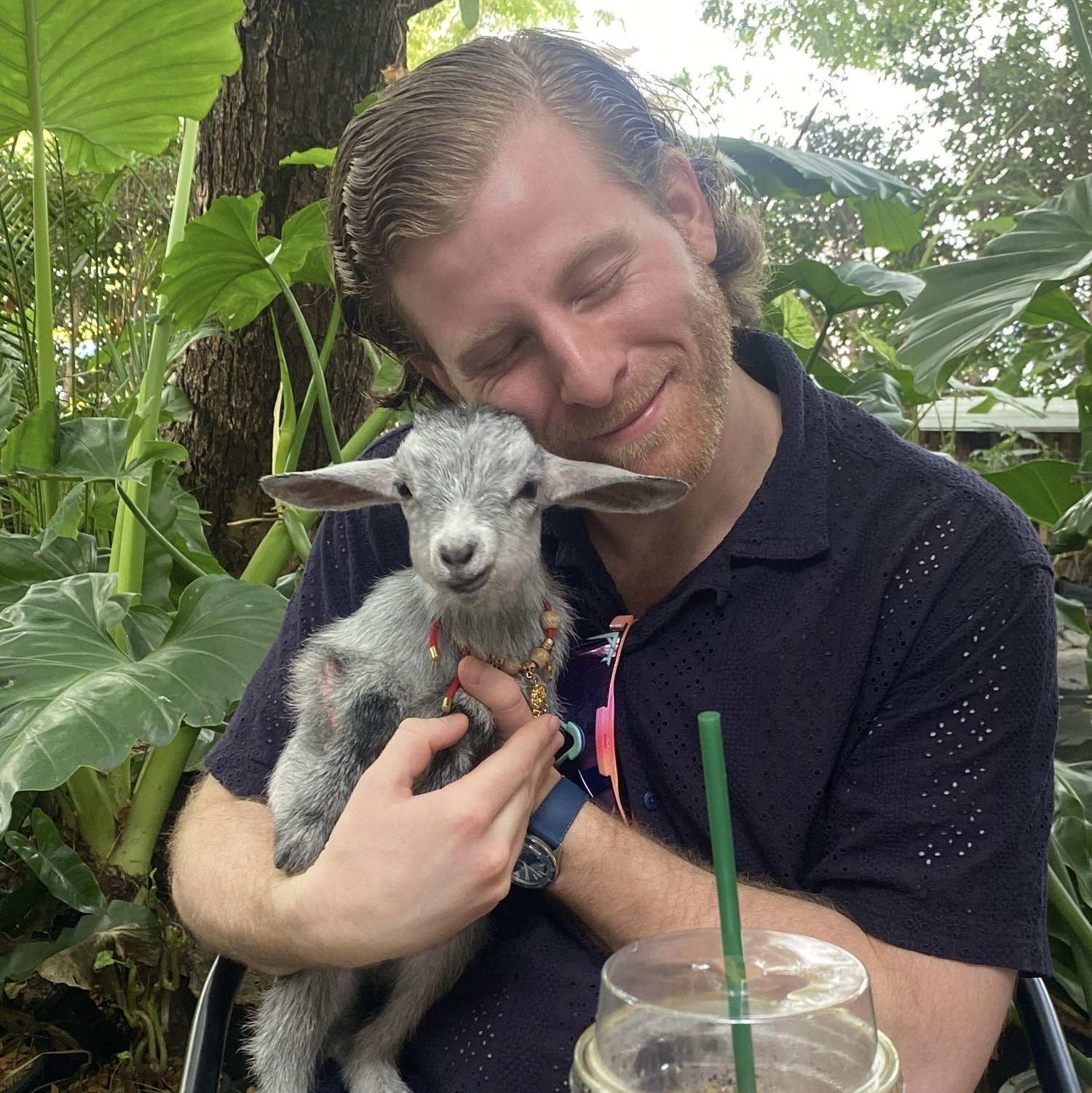 Jonah being a goat dad at a goat cafe in Bangkok, Thailand 2025