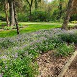 Tanger Family Bicentennial Garden