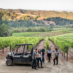 Winery Tour in Tuscany